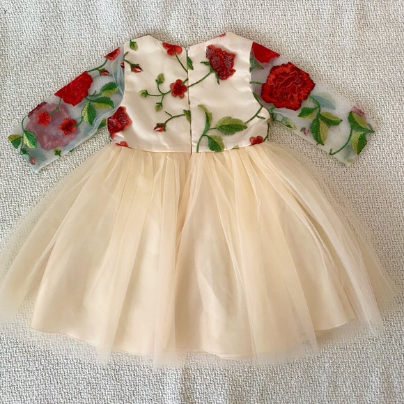 Toddler Girls Formal Holiday Christmas Floral Embroidery Mesh Gown Dress Size 4 - Picture 14 of 17